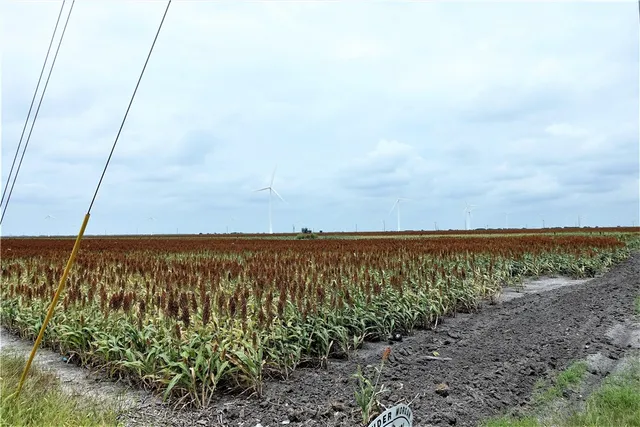 $8,549,050 | 0 Hwy 181 Cr, Taft, TX 78390