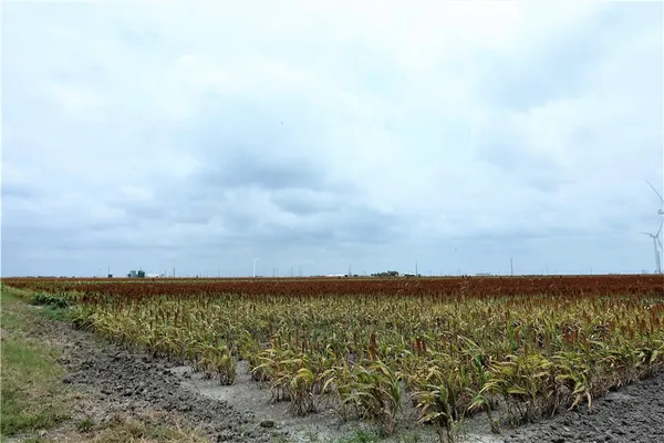 $8,549,050 | 0 Hwy 181 Cr, Taft, TX 78390