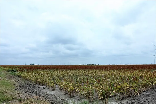 $8,549,050 | 0 Hwy 181 Cr, Taft, TX 78390