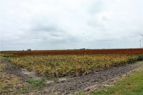 $8,549,050 | 0 Hwy 181 Cr, Taft, TX 78390