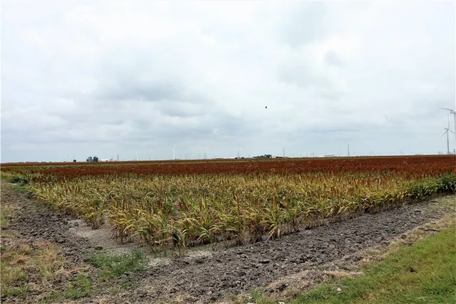 $8,549,050 | 0 Hwy 181 Cr, Taft, TX 78390