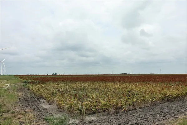 $8,549,050 | 0 Hwy 181 Cr, Taft, TX 78390