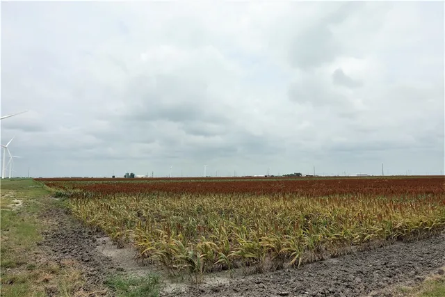 $8,549,050 | 0 Hwy 181 Cr, Taft, TX 78390