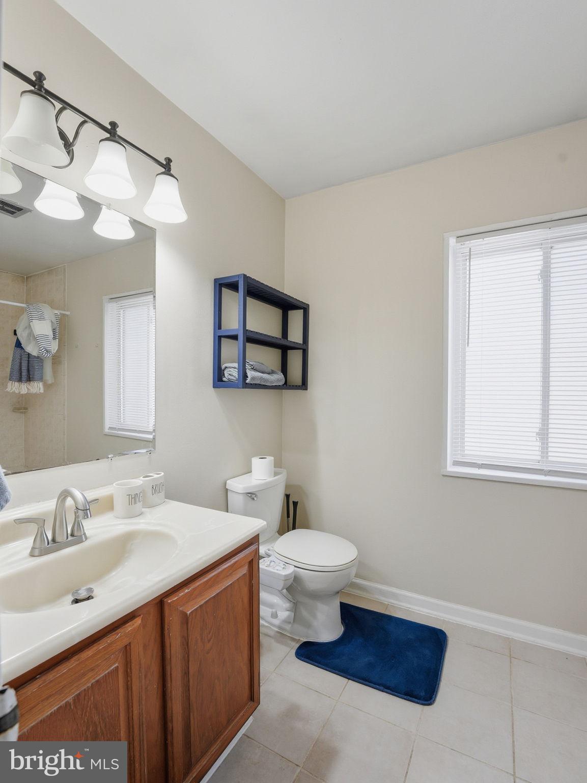 1546 Northgate Square, Unit 21C Reston, VA 20190 - Photo 26 of 33 Bathroom