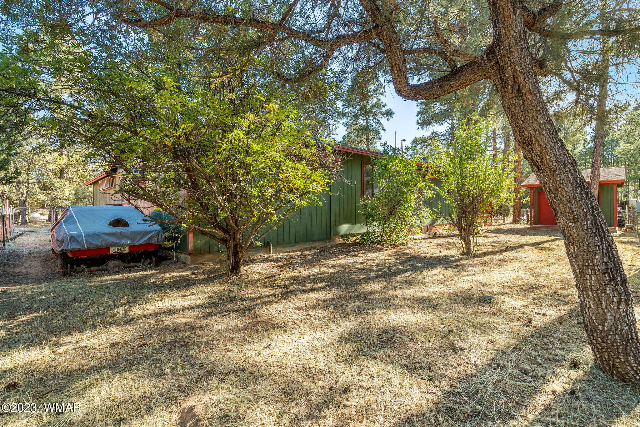 2132 Wildflower Road Overgaard, AZ 85933 - Photo 25 of 30