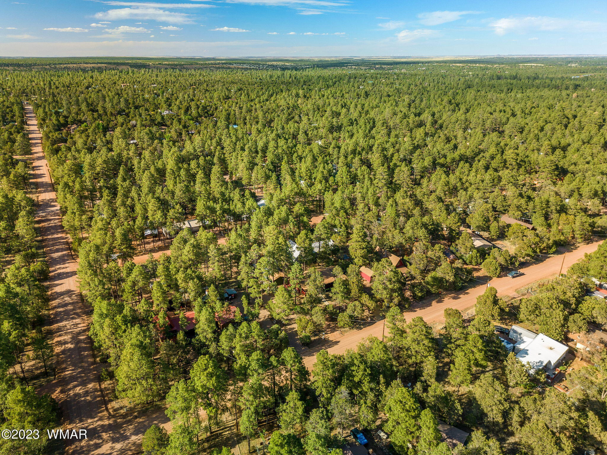 2132 Wildflower Road Overgaard, AZ 85933 - Photo 28 of 30