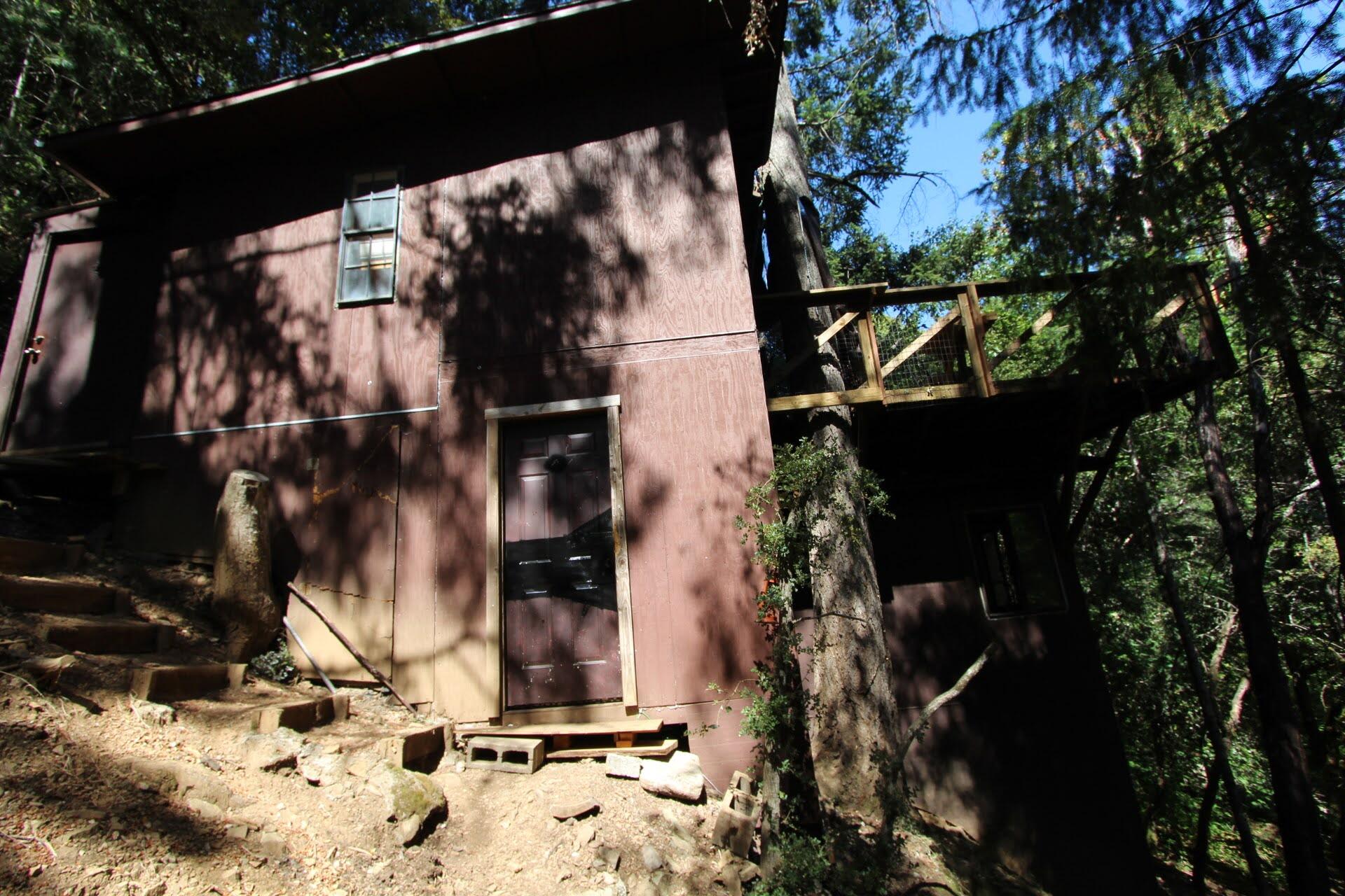 114 Forest Creek Road Selma, OR 97538 - Photo 10 of 27 IMG_4919
