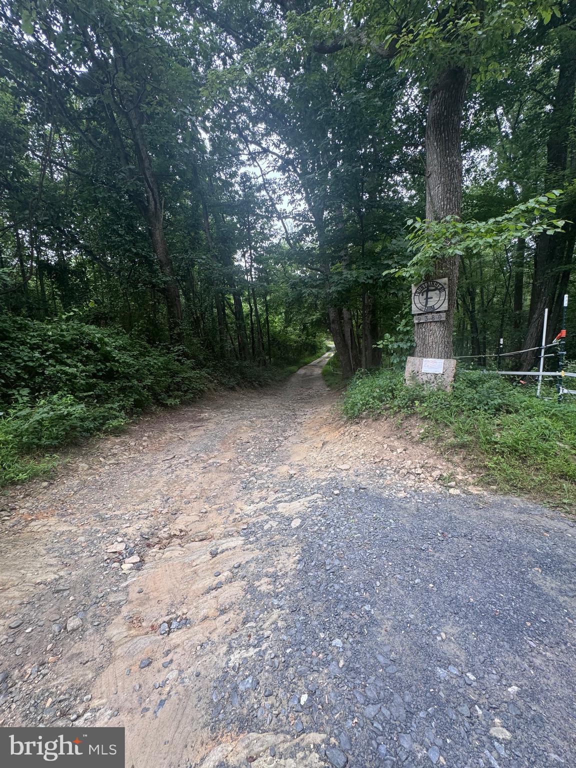 Elihu Hill Road Marshall, VA 20115 - Photo 4 of 6 Driveway adjacent- please do not go down fully