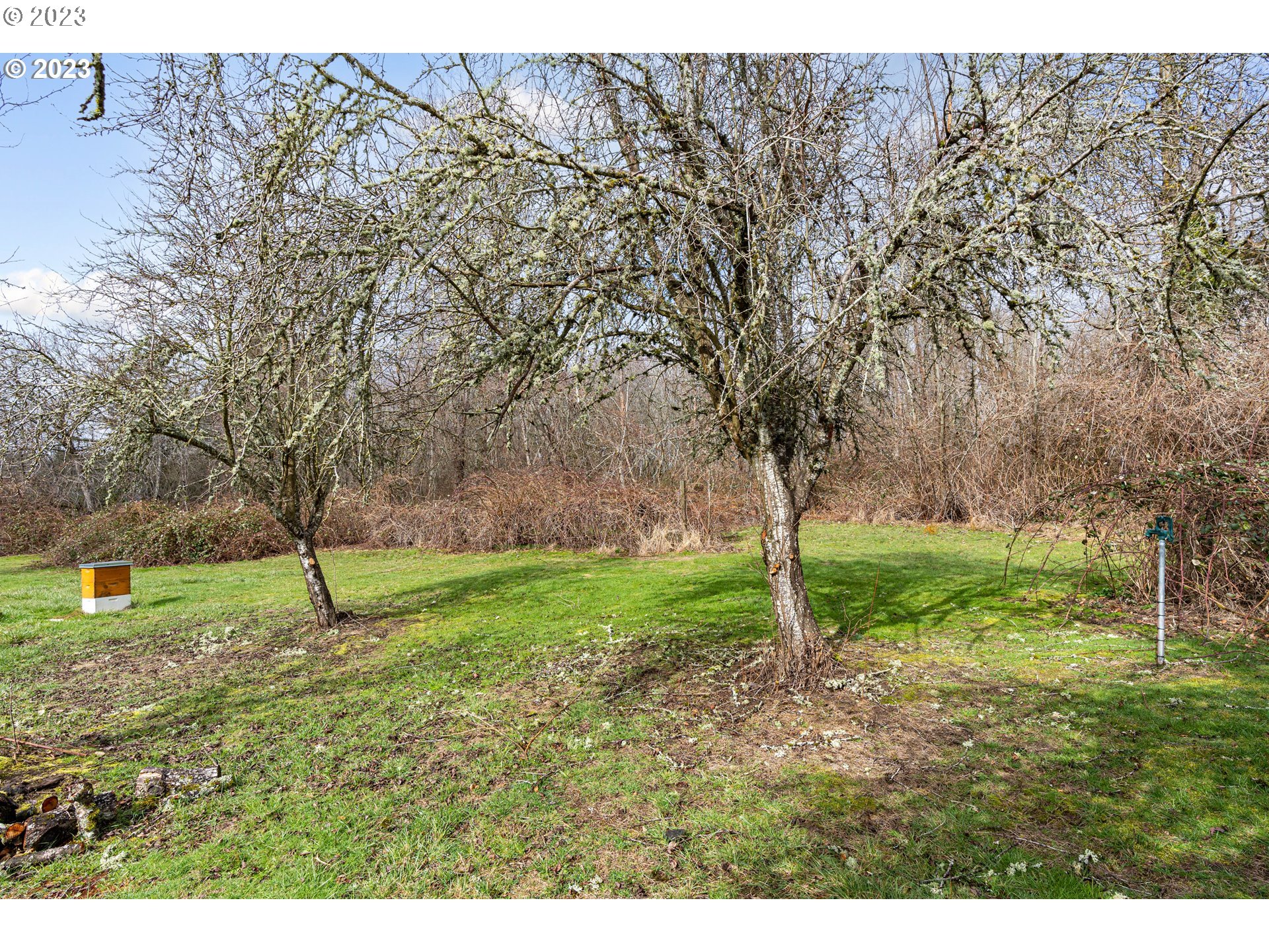 425 Southeast Williams Road Gresham, OR 97080 - Photo 13 of 30 a backyard of a house with lots of green space