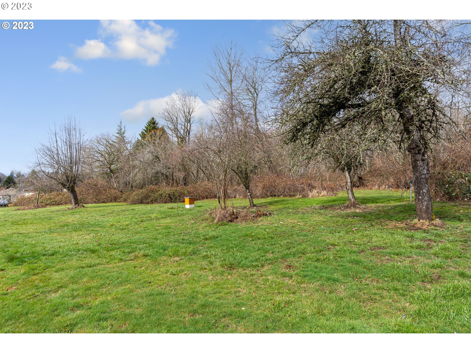 425 Southeast Williams Road Gresham, OR 97080 - Photo 10 of 30 a view of a green field