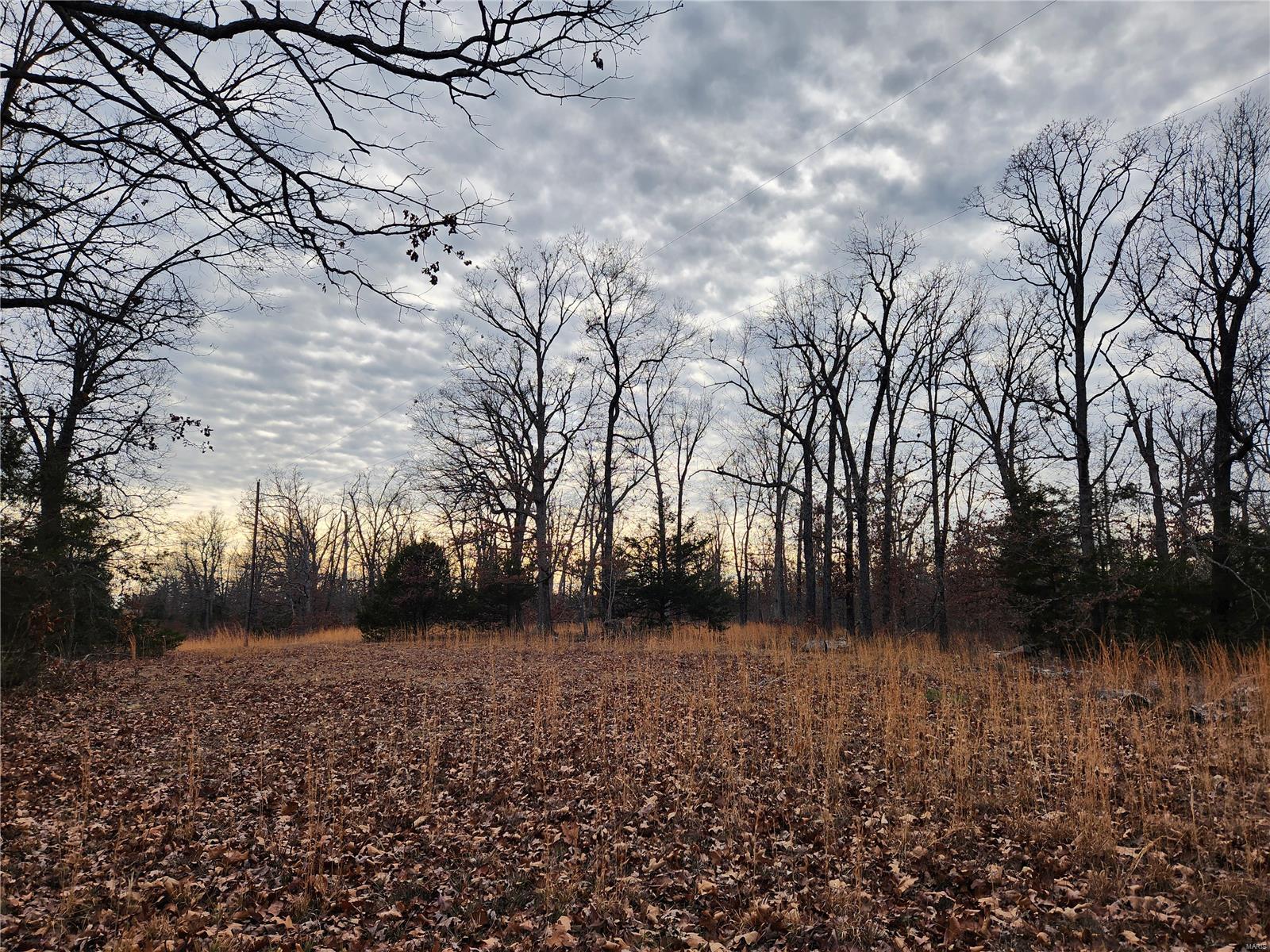 0 Dunklin Road Lebanon, MO 65536 - Photo 1 of 4