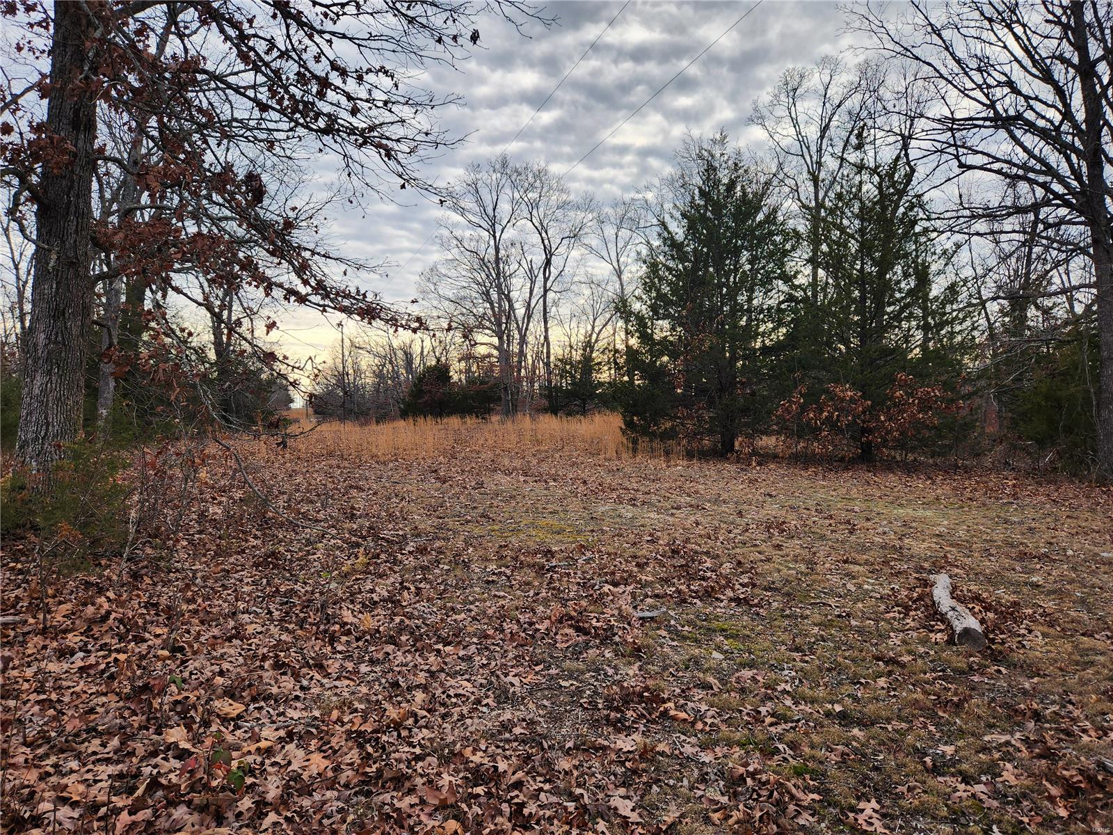 0 Dunklin Road Lebanon, MO 65536 - Photo 2 of 4