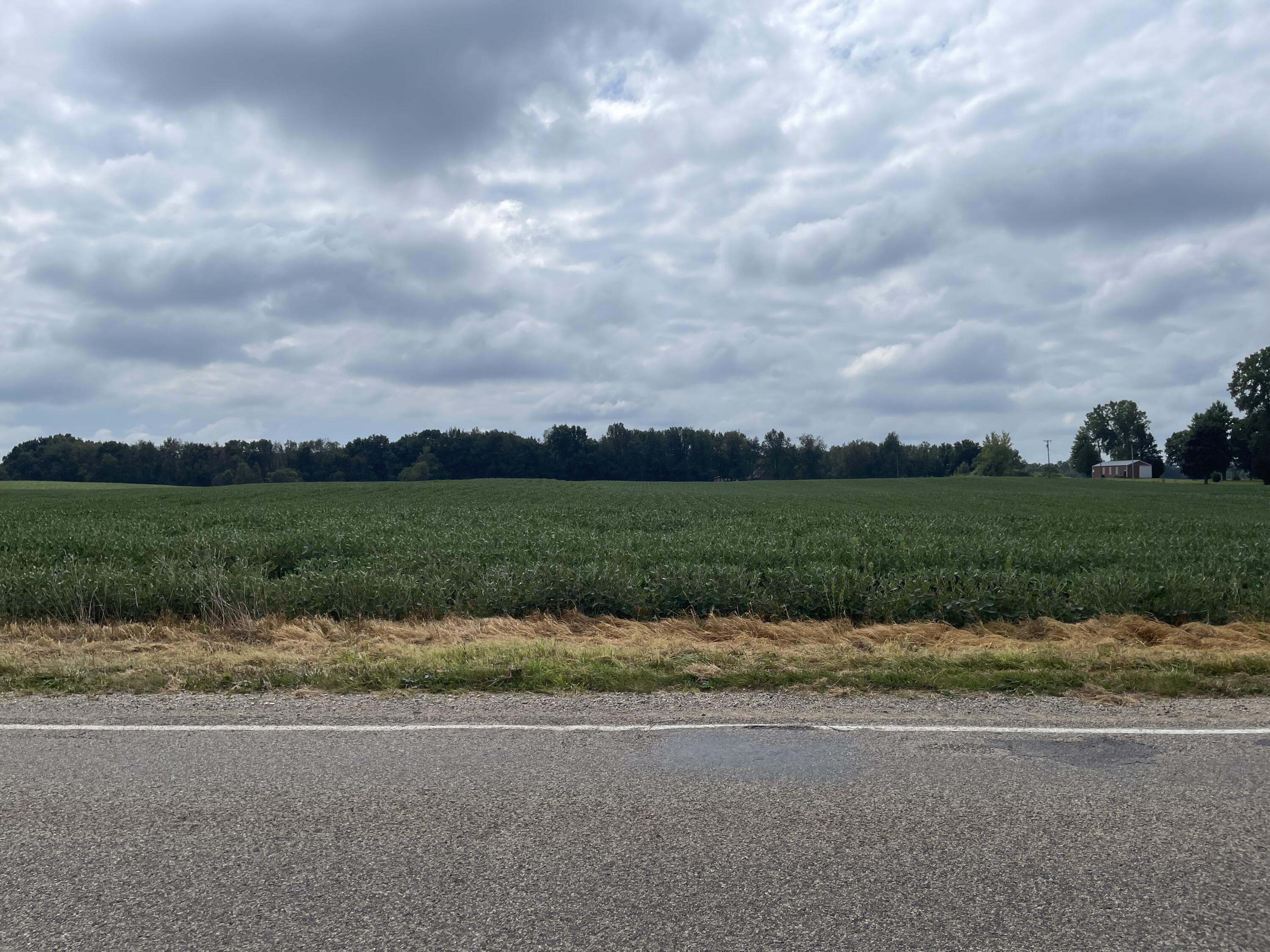 0 East Central Road Coldwater, MI 49036 - Photo 1 of 1 IMG-8765