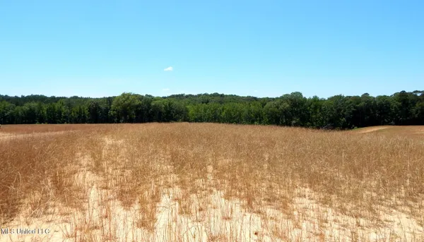 $103,900 | 205 Hugh White State Pk Road, Grenada, MS 38901