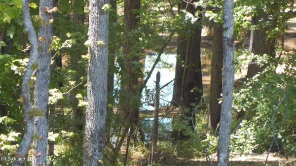 $103,900 | 205 Hugh White State Pk Road, Grenada, MS 38901