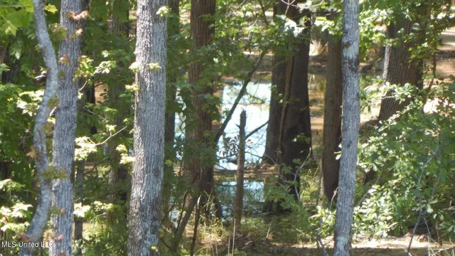 $103,900 | 205 Hugh White State Pk Road, Grenada, MS 38901