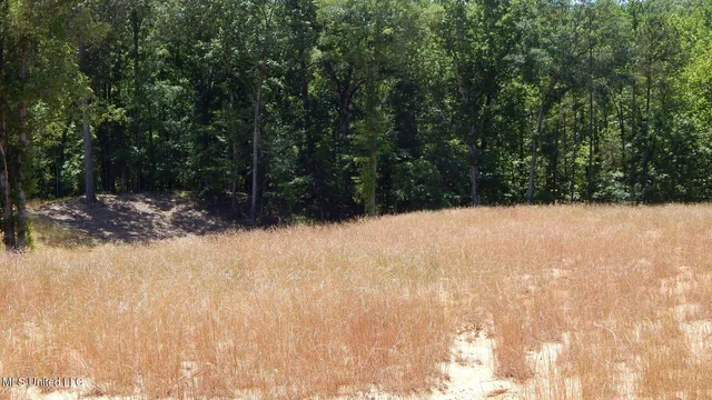 $103,900 | 205 Hugh White State Pk Road, Grenada, MS 38901