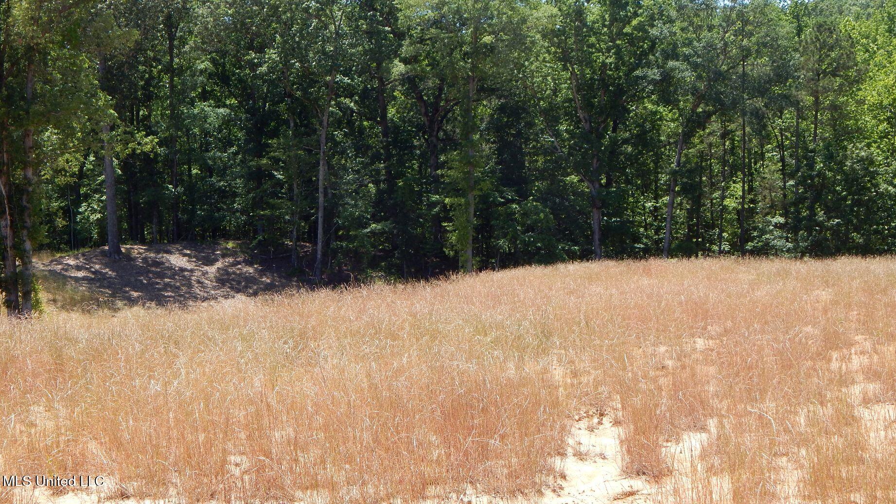 205 Hugh White State Pk Road Grenada, MS 38901 - Photo 4 of 15 DSCN6904