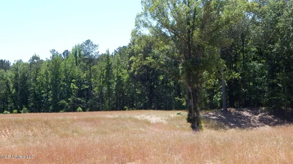 $103,900 | 205 Hugh White State Pk Road, Grenada, MS 38901