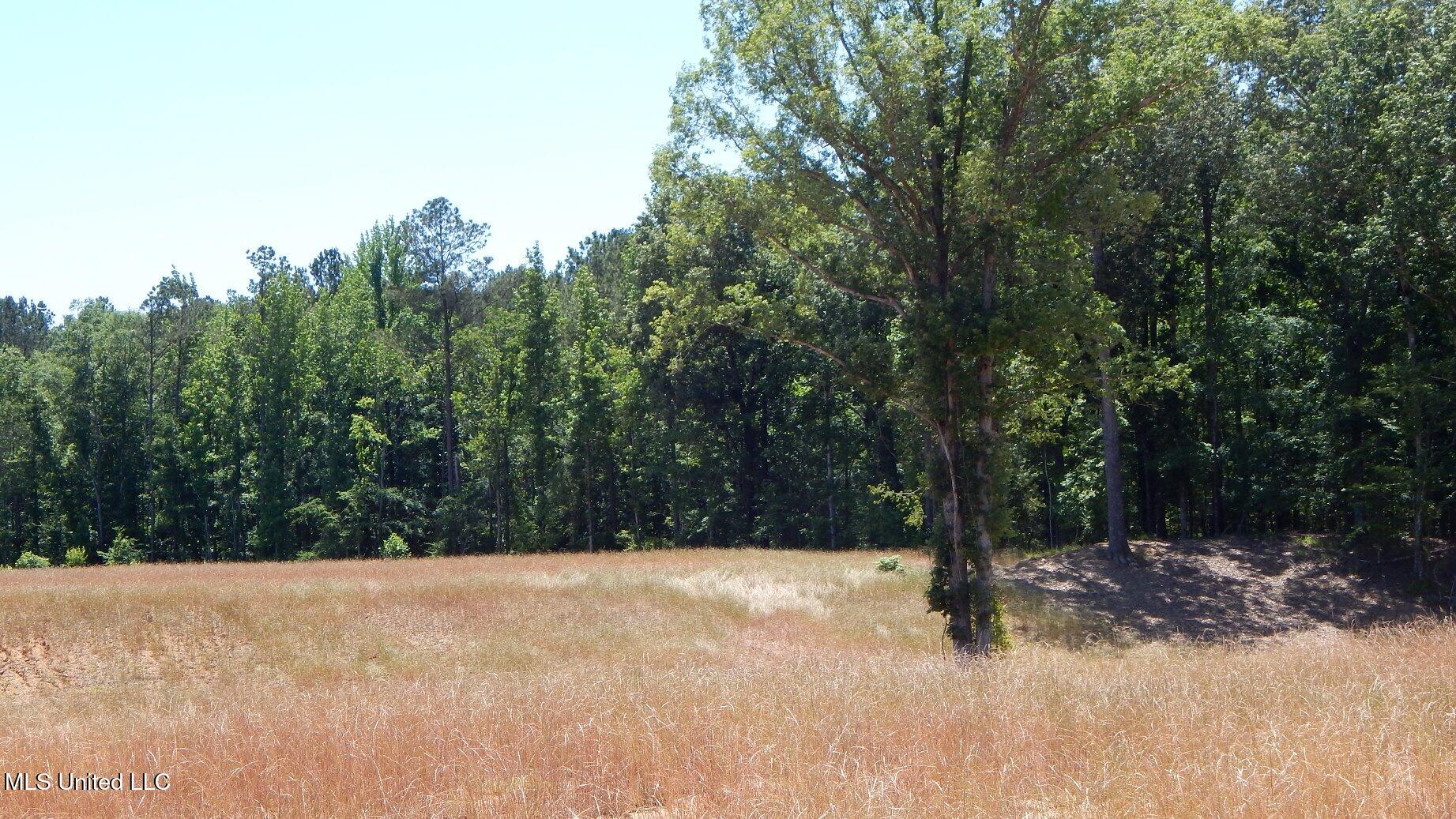 205 Hugh White State Pk Road Grenada, MS 38901 - Photo 5 of 15 DSCN6905