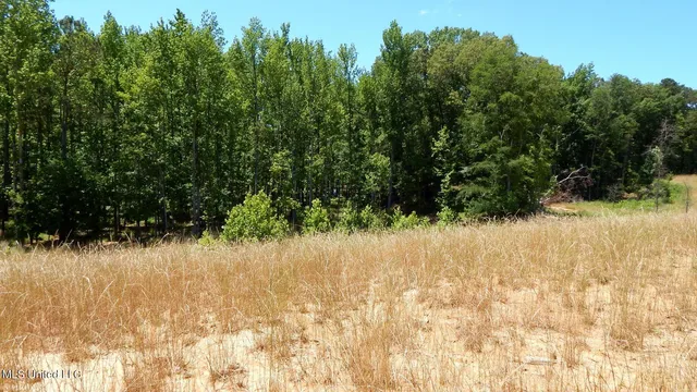 $103,900 | 205 Hugh White State Pk Road, Grenada, MS 38901