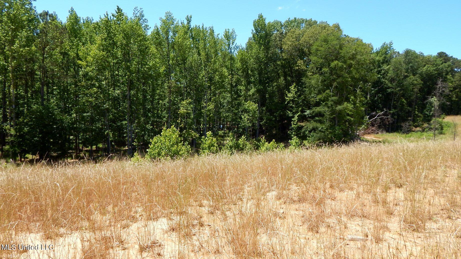 205 Hugh White State Pk Road Grenada, MS 38901 - Photo 6 of 15 DSCN6907