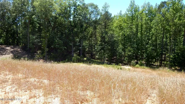 $103,900 | 205 Hugh White State Pk Road, Grenada, MS 38901