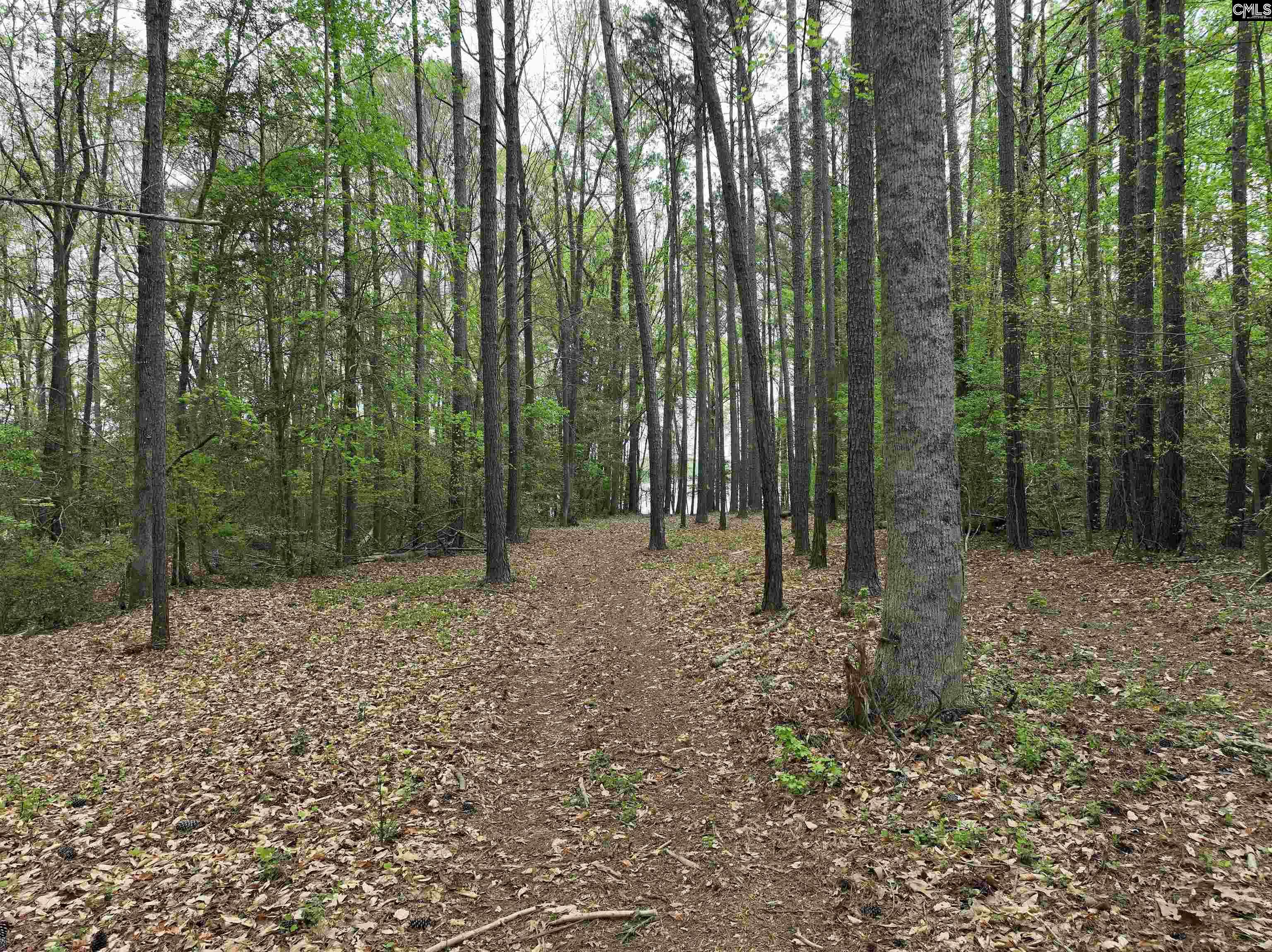 Tbd Fannie Black Road Prosperity, SC 29127 - Photo 23 of 28