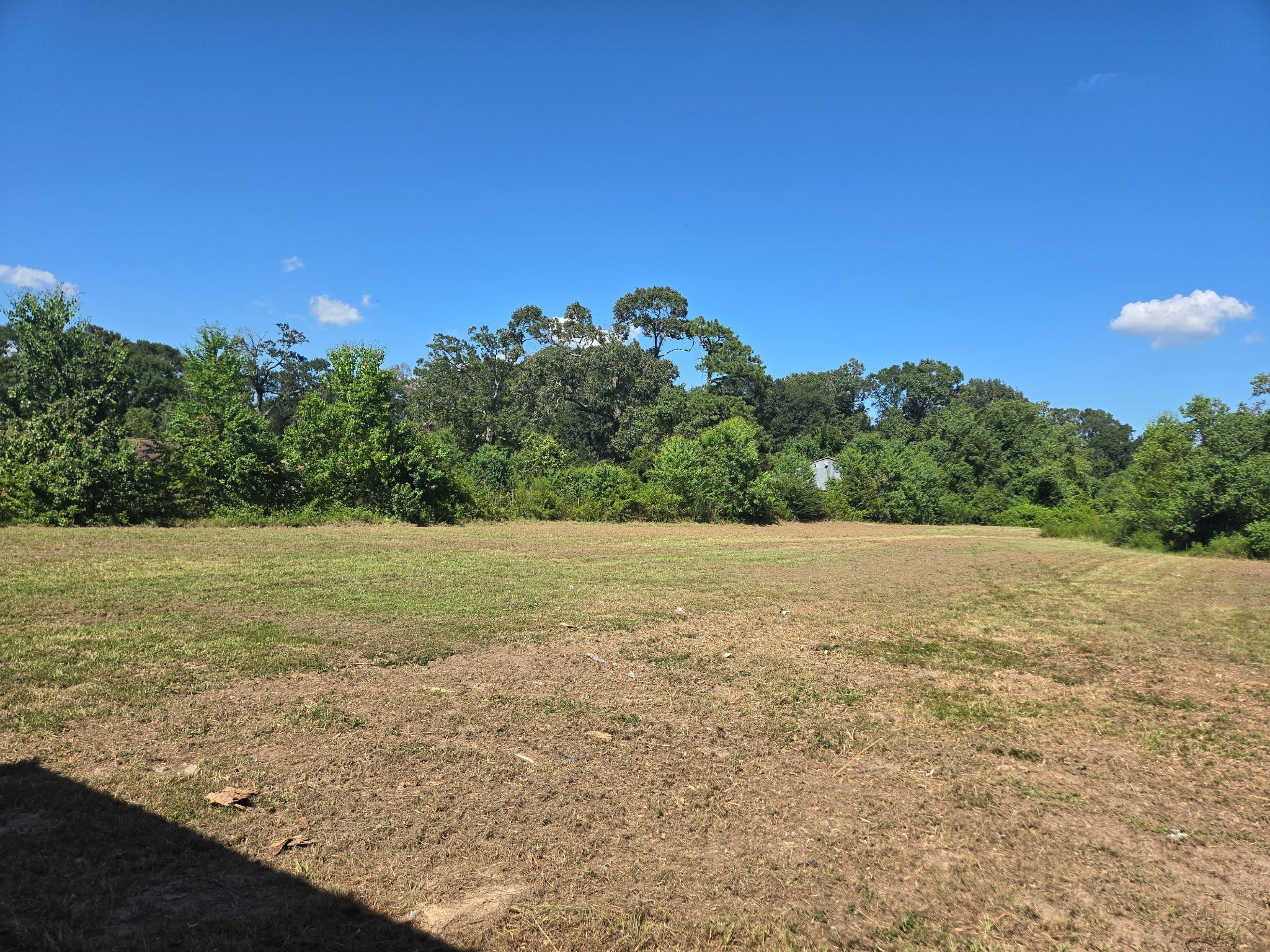 10511 Fostoria Road Cleveland, TX 77328 - Photo 5 of 7