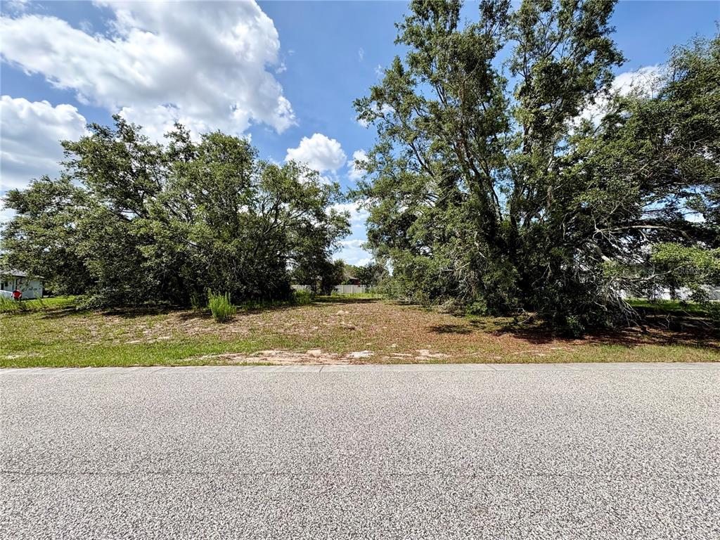 9925 Reindeer Court Spring Hill, FL 34608 - Photo 4 of 8 a view of dirt yard with a large trees