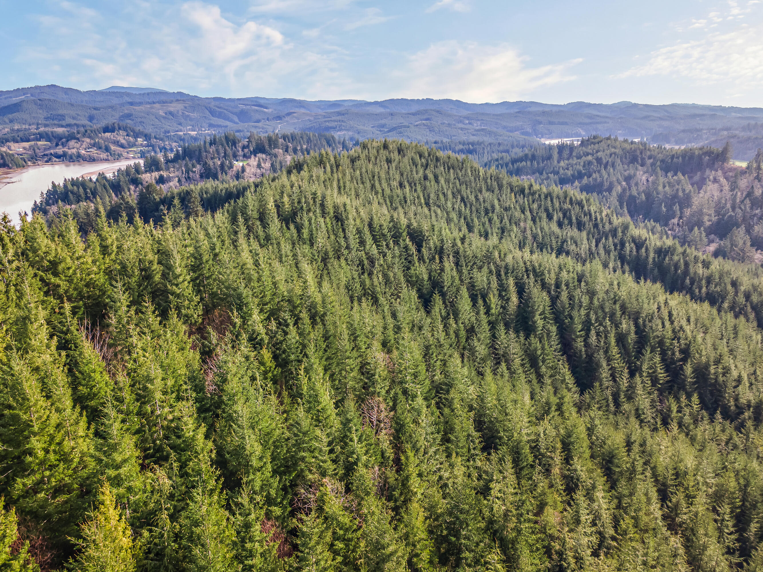 0 Criteser Loop Toledo, OR 97391 - Photo 17 of 31 DJI_0670