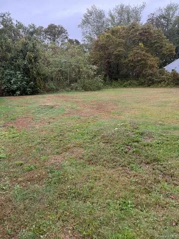 a view of a field with an ocean view