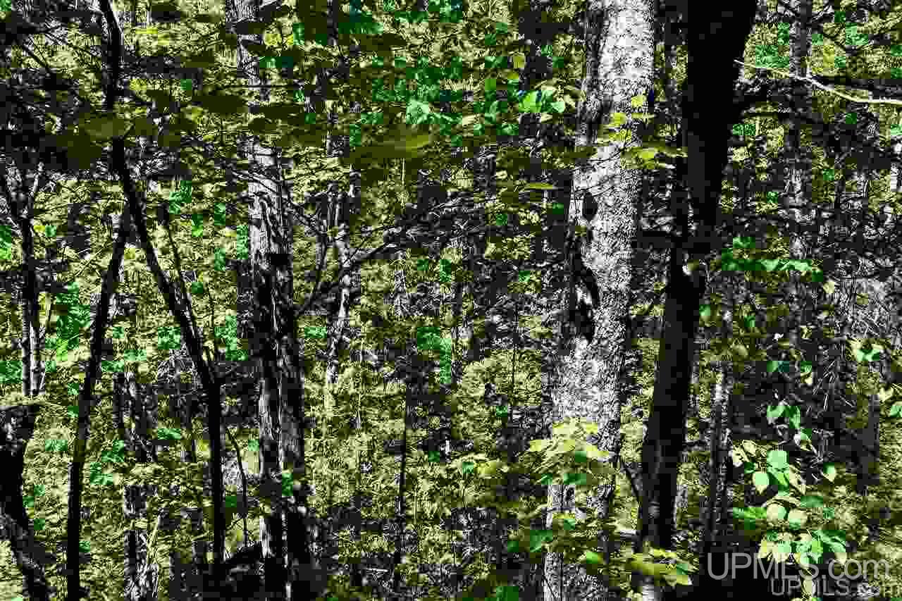 1125 Cooper Lake Road Ishpeming, MI 49849 - Photo 16 of 32
