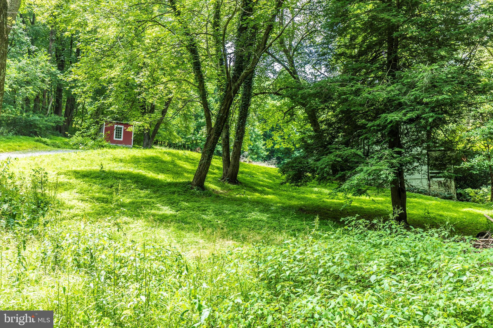 6300 Old Bohn Road Mount Airy, MD 21771 - Photo 44 of 45 a view of a garden with a trees
