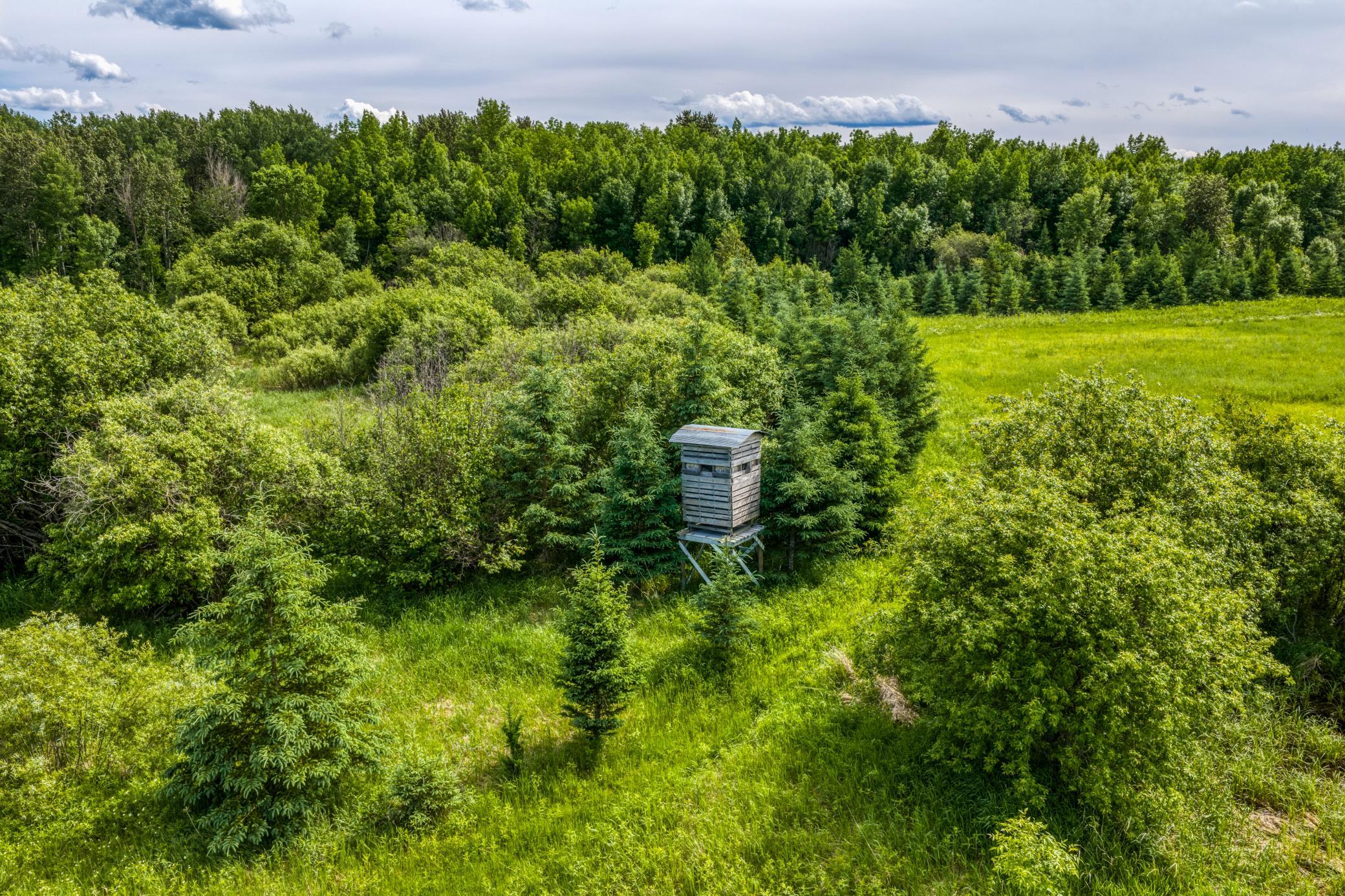 Tbd Lindgren Road Northeast Puposky, MN 56667 - Photo 51 of 54