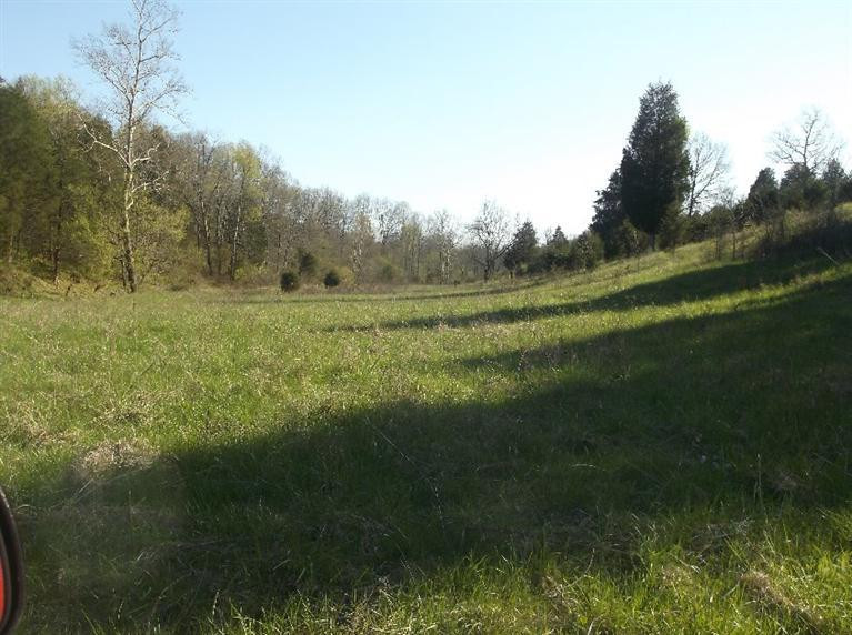 132 Mann Road Mount Olivet, KY 41064 - Photo 15 of 17 Gallery Image 15
