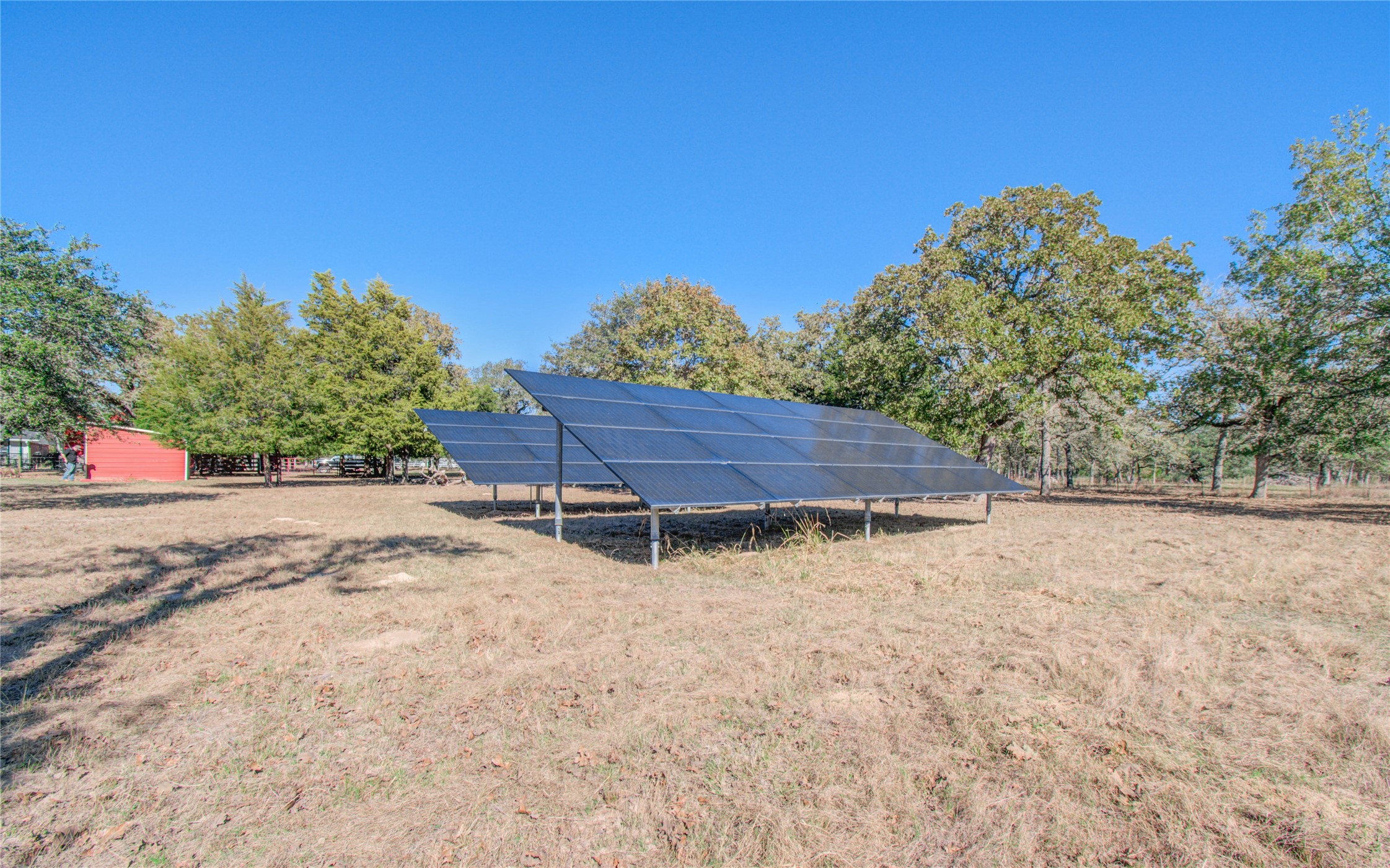 1779 County Road 151 Columbus, TX 78934 - Photo 40 of 47 a wooden bench sitting in middle of a field
