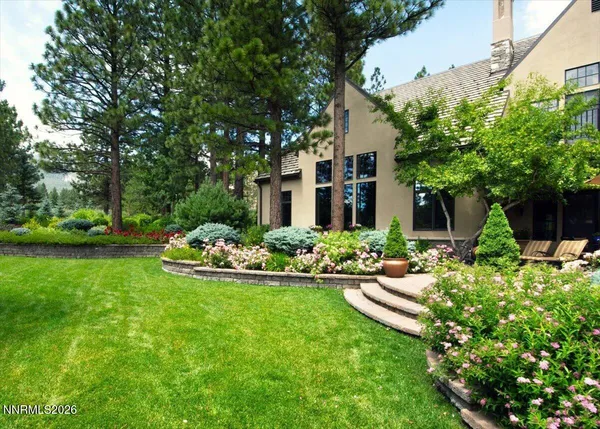 a view of a garden with plants and large trees