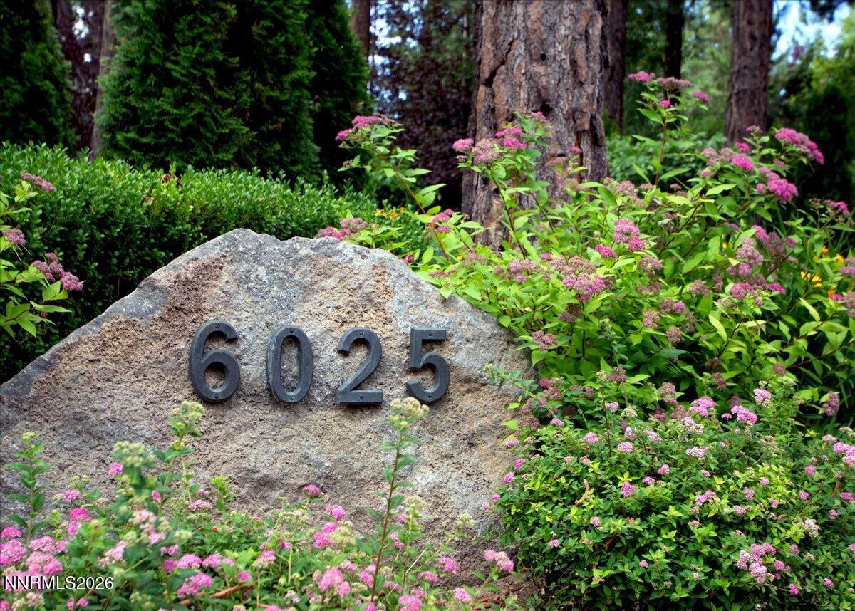 6025 Lake Geneva Drive Reno, NV 89511 - Photo 5 of 72 a view of a garden with flowers