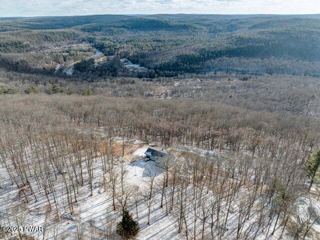 110 Mountain View Road Lackawaxen, PA 18435 - Photo 4 of 42 WATCH THE EAGLE SOAR