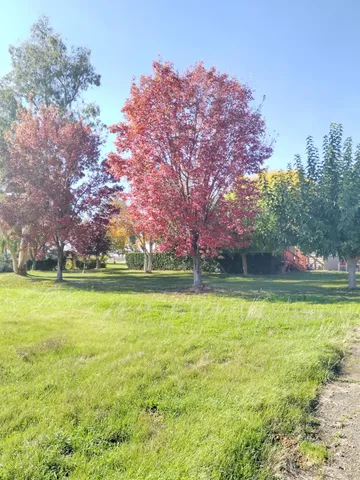 $595,000 | 8890 Daguerra Point Drive, Marysville, CA 95901