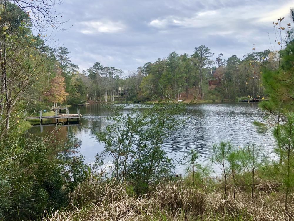 Tara Boulevard Daphne, AL 36527 - Photo 10 of 11