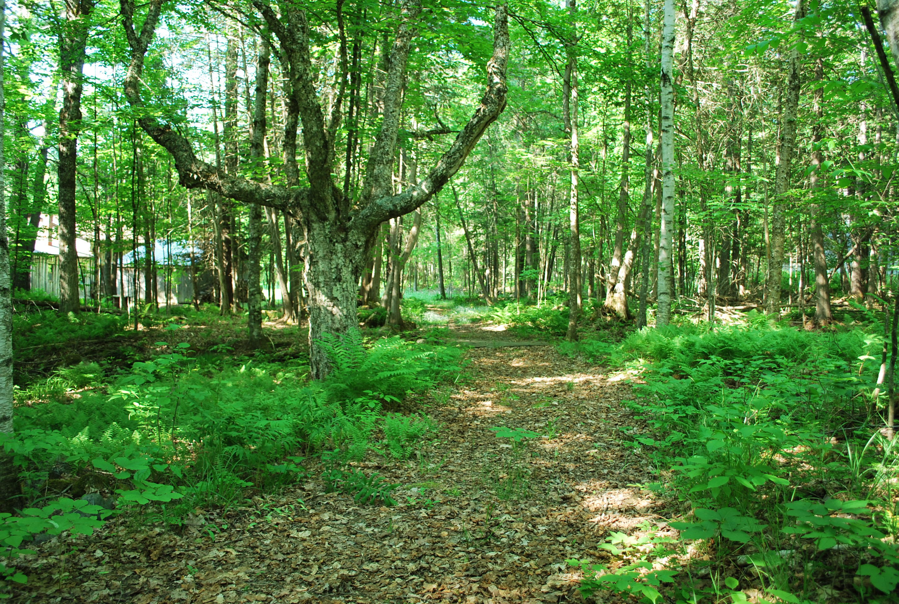 44 Sugarhill Road Harmony, ME 04942 - Photo 41 of 50 44 Sugar Hill Road 042