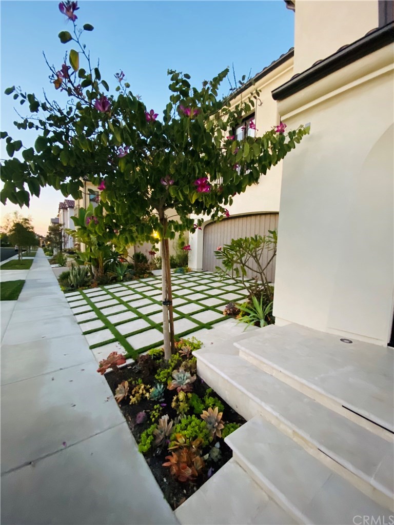 114 Joshua Tree Irvine, CA 92620 - Photo 6 of 73 a view of a garden with flowers and flowers