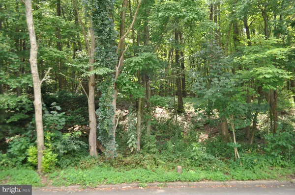 a view of a forest with trees in front of a house