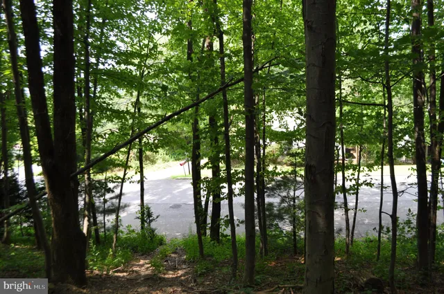 a view of outdoor space with trees
