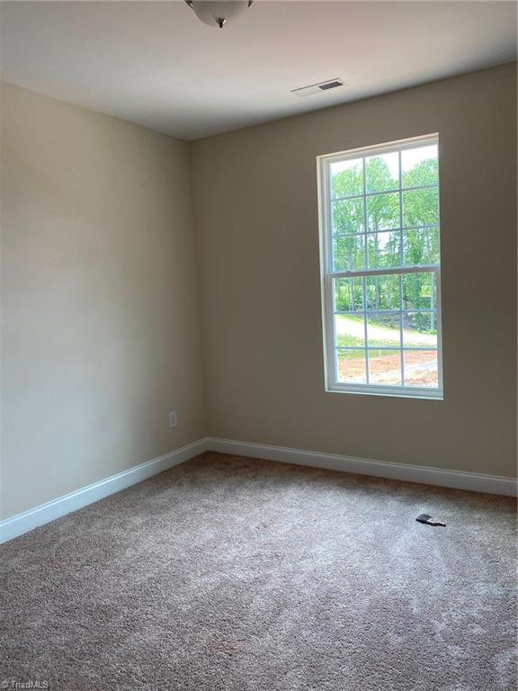 7728 Carson Path Summerfield, NC 27358 - Photo 11 of 14