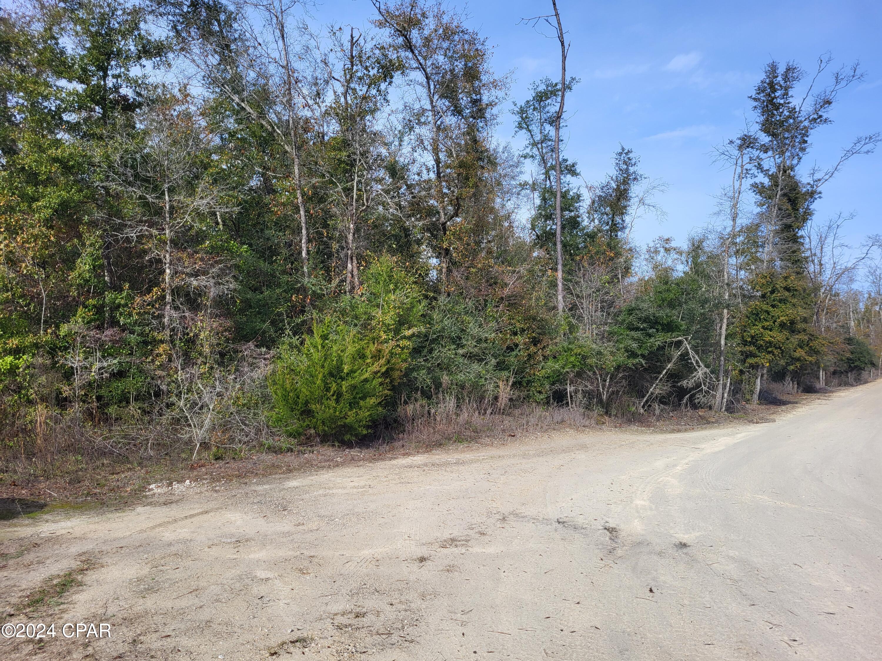 0 Womble Road, Unit LOT 7 Altha, FL 32421 - Photo 16 of 24 Gallery Image 16