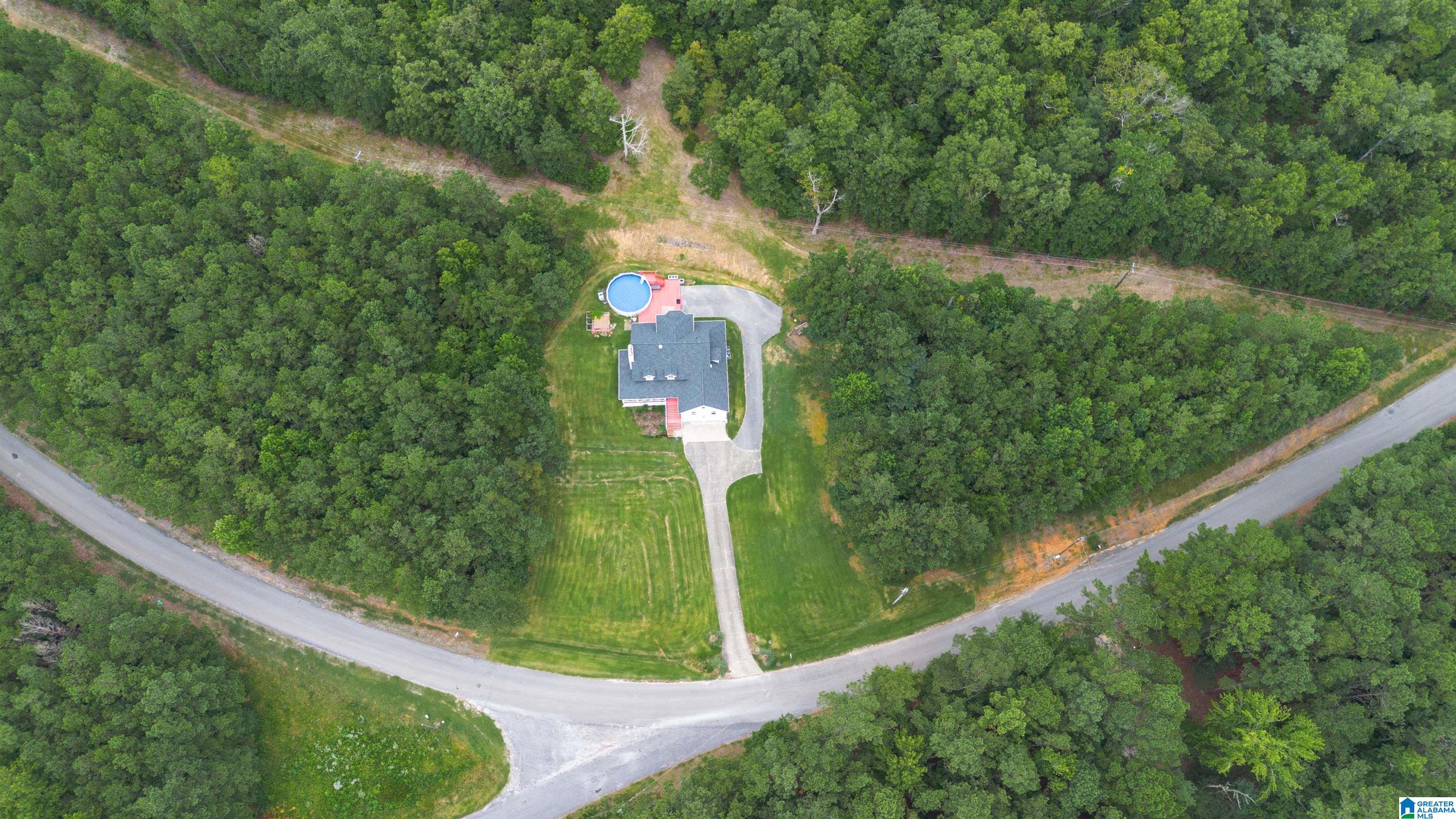 640 Youngs Chapel Road Piedmont, AL 36272 - Photo 42 of 50 Gallery Image 42