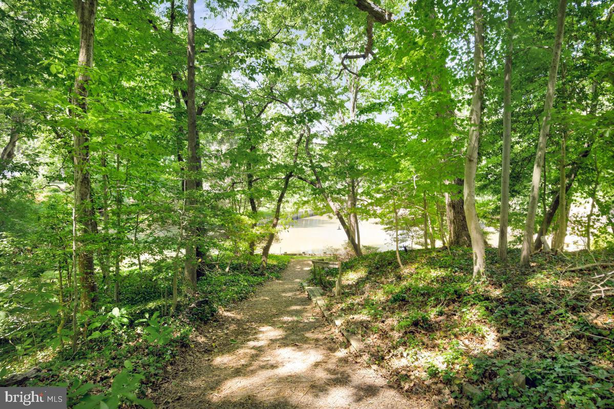 3411 Holland Cliffs Road Huntingtown, MD 20639 - Photo 8 of 43 path to water